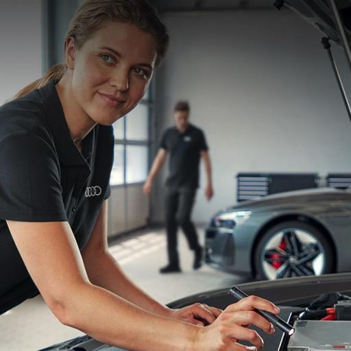 Audi Service Herbst 2025