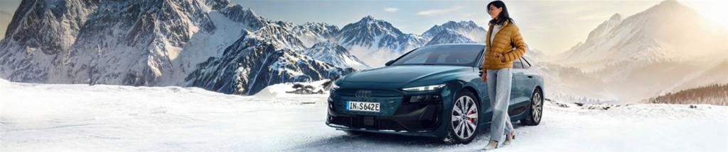 Audi Winterräder 2026/2027
